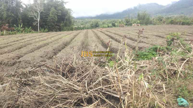 jual tanah kosong di daerah tanjung barus berastagi