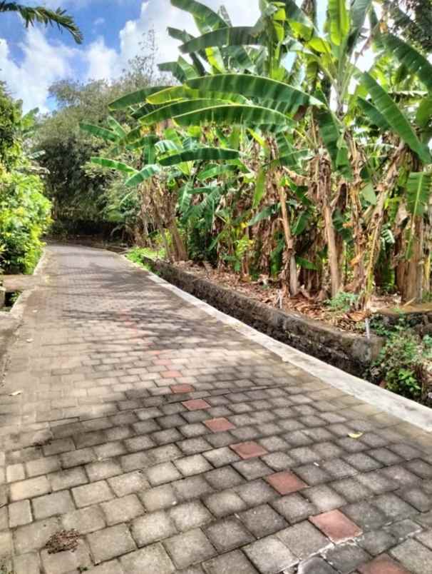 jual tanah luas di jalan raya tanah lot tabanan bali