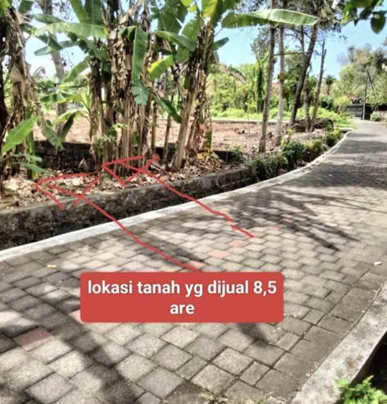 jual tanah luas di jalan raya tanah lot tabanan bali