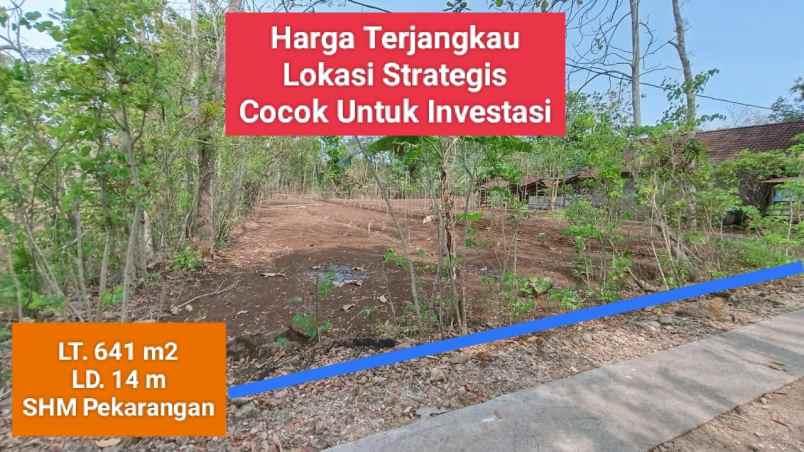 jual tanah murah di bejiharjo karangmojo gunungkidul