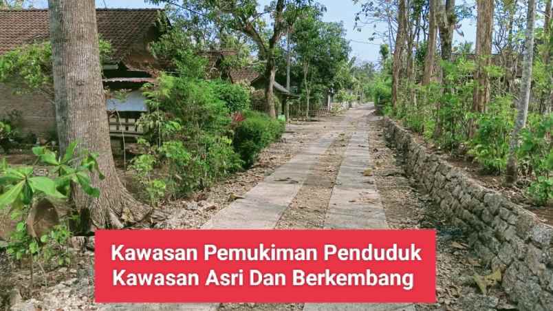 jual tanah murah di bejiharjo karangmojo gunungkidul