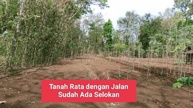 jual tanah murah di bejiharjo karangmojo gunungkidul