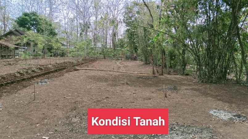 jual tanah murah di bejiharjo karangmojo gunungkidul