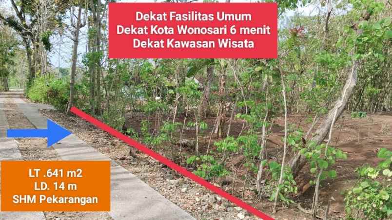 jual tanah murah di bejiharjo karangmojo gunungkidul