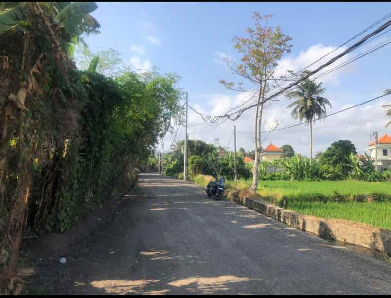 jual tanah murah di ubud sakah sukawati gianyar bali