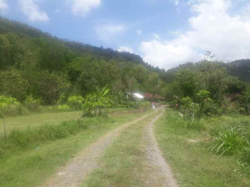 lahan 30 hektar prambanan klaten terkondisi 350rb m2