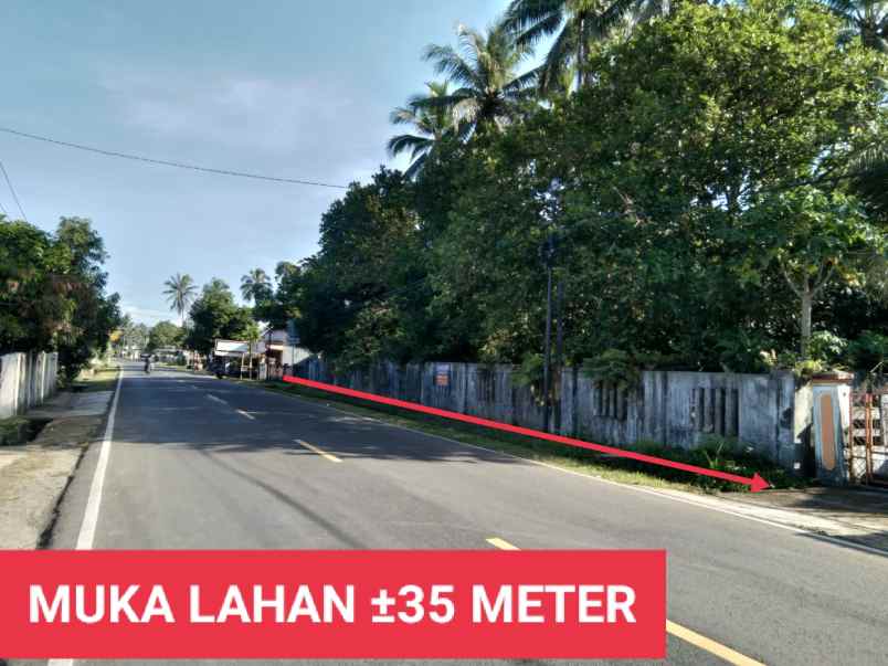 lahan cikeusik pinggir jalan raya nasional lll