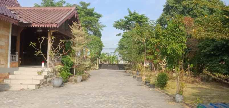 lahan industri area lamongan jawa timur