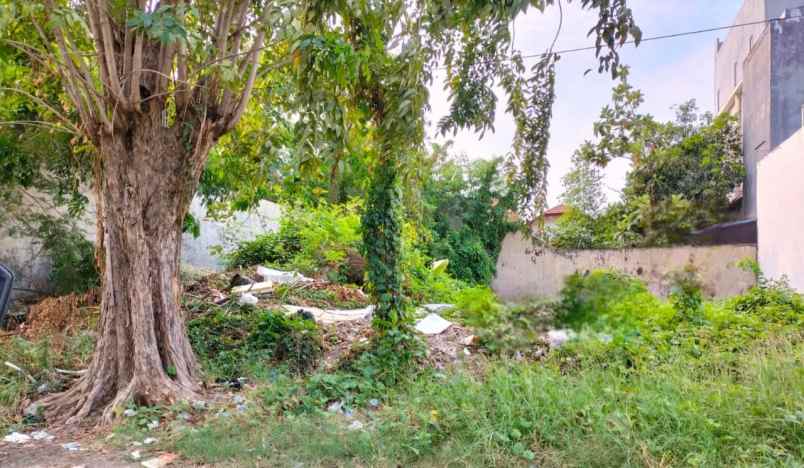 margorejo kavling surabaya hook ada lebih lahan nett