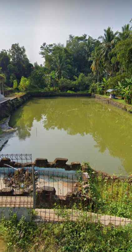 rumah dan kolam pemancingan ikan di ciranjang cianjur