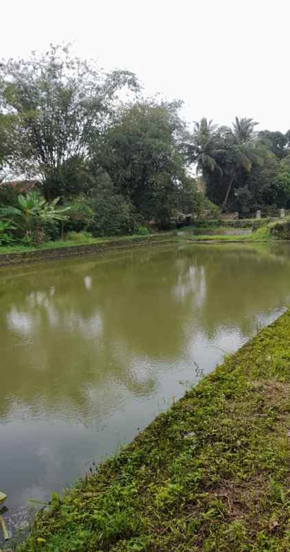 rumah dan kolam pemancingan ikan di ciranjang cianjur