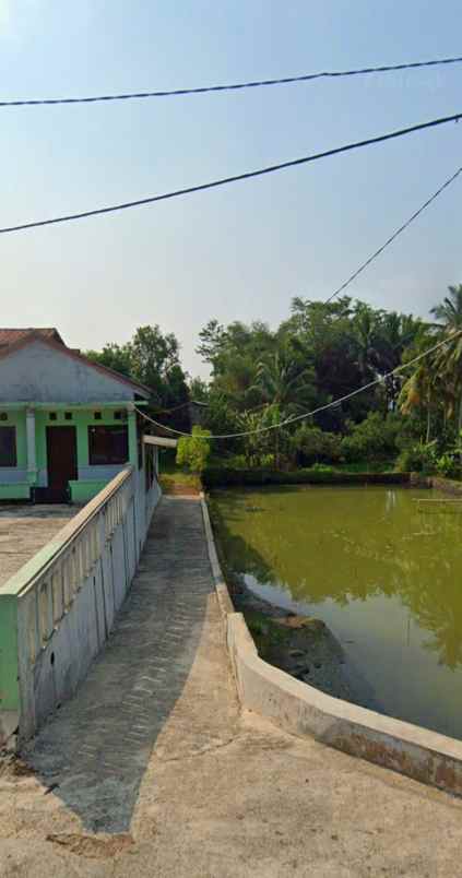 rumah dan kolam pemancingan ikan di ciranjang cianjur