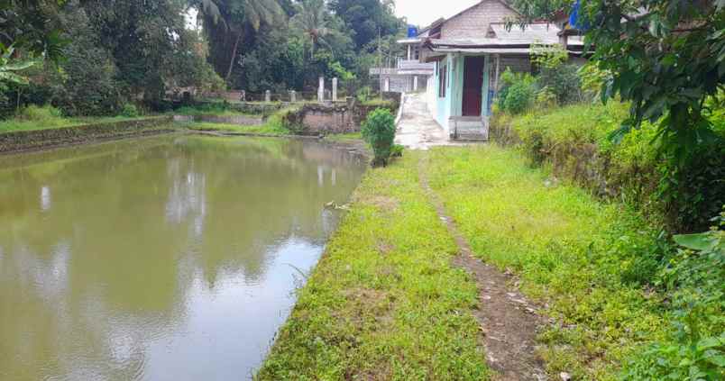 rumah dan kolam pemancingan ikan di ciranjang cianjur