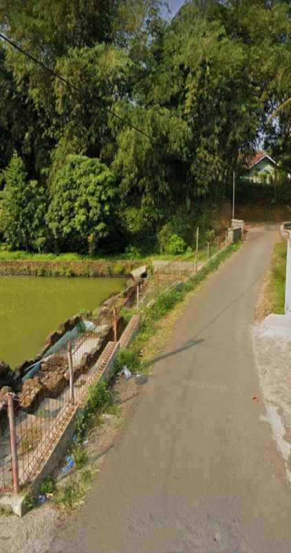 rumah dan kolam pemancingan ikan di ciranjang cianjur