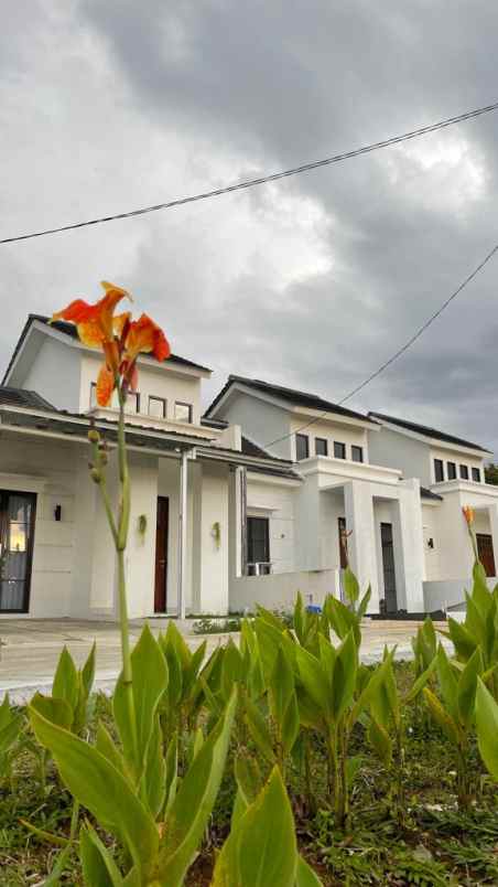 rumah minimalis tipe 36 tanpa dp