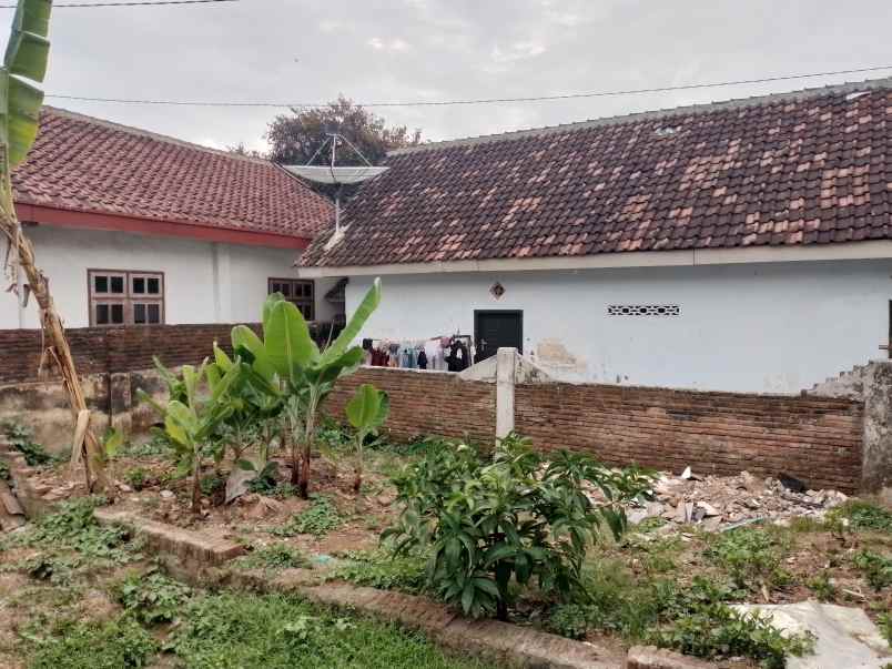 rumah siap huni dan strategis banyuwangi