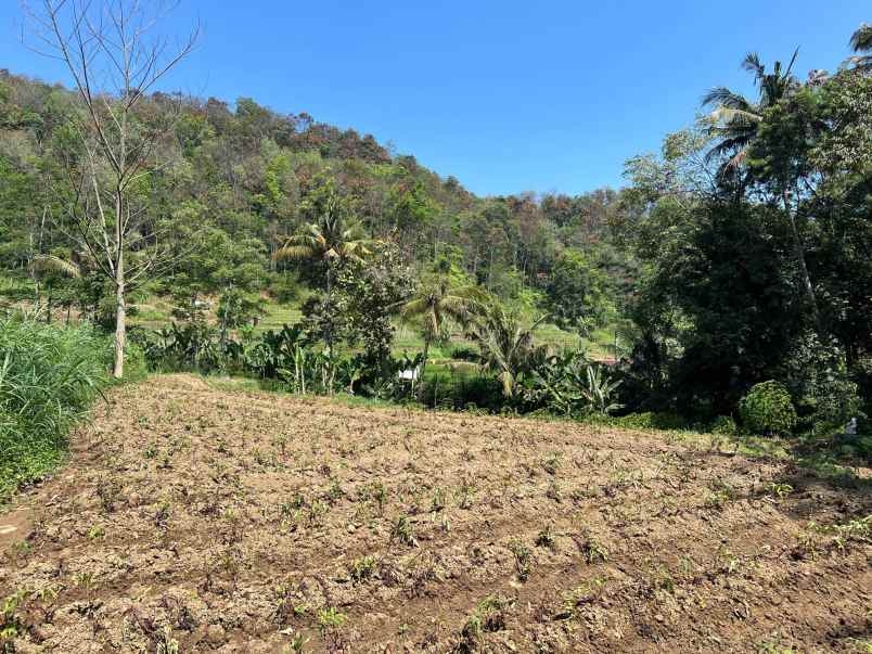 tanah 1327m dekat sungai kawasan wisata ngargoyoso