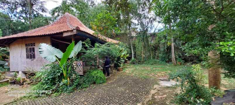 tanah 1650 m bonus rumah dan saung