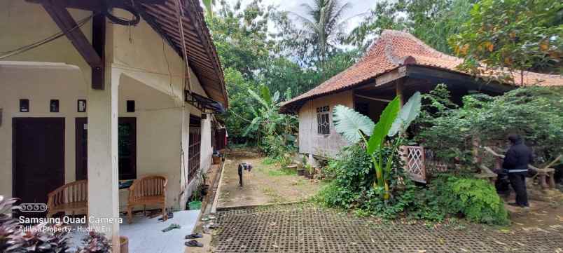 tanah 1650 m bonus rumah dan saung