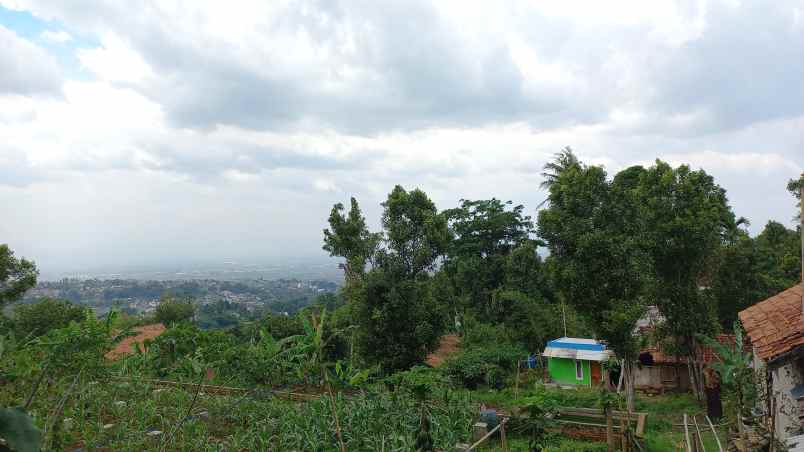 tanah cimenyan padasuka