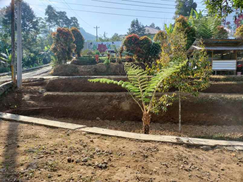 tanah cocok dibangun wisata kemuning karanganyar solo