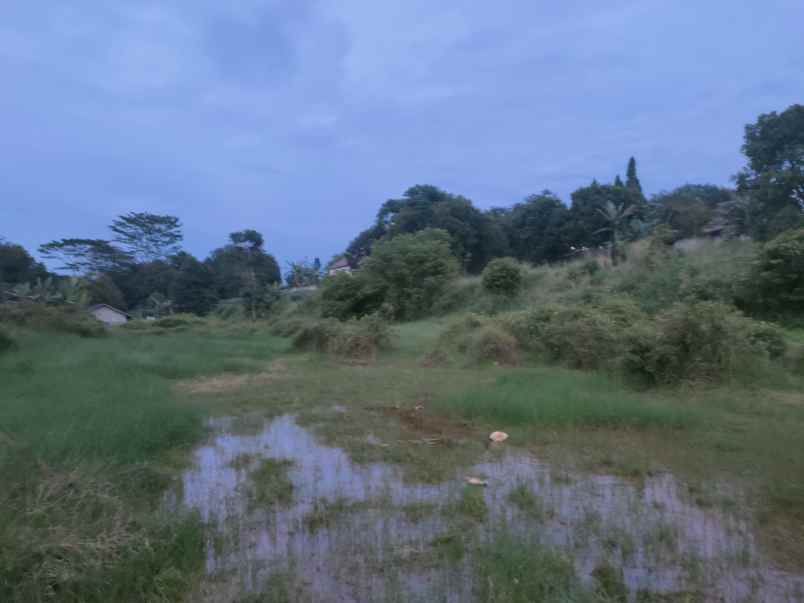 tanah cocok untuk perumahan kavling