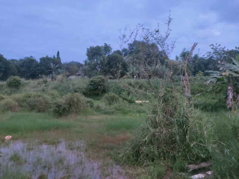 tanah cocok untuk perumahan kavling