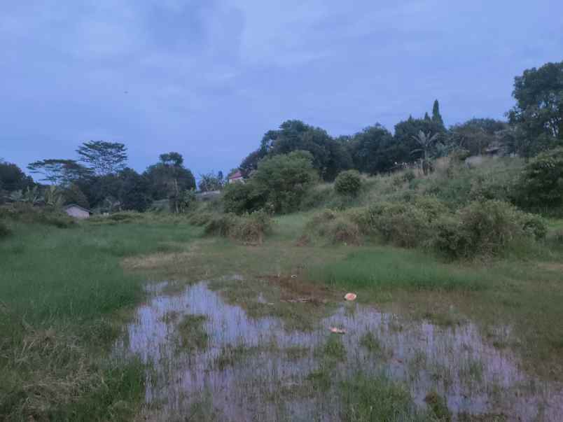 tanah cocok untuk perumahan kavling