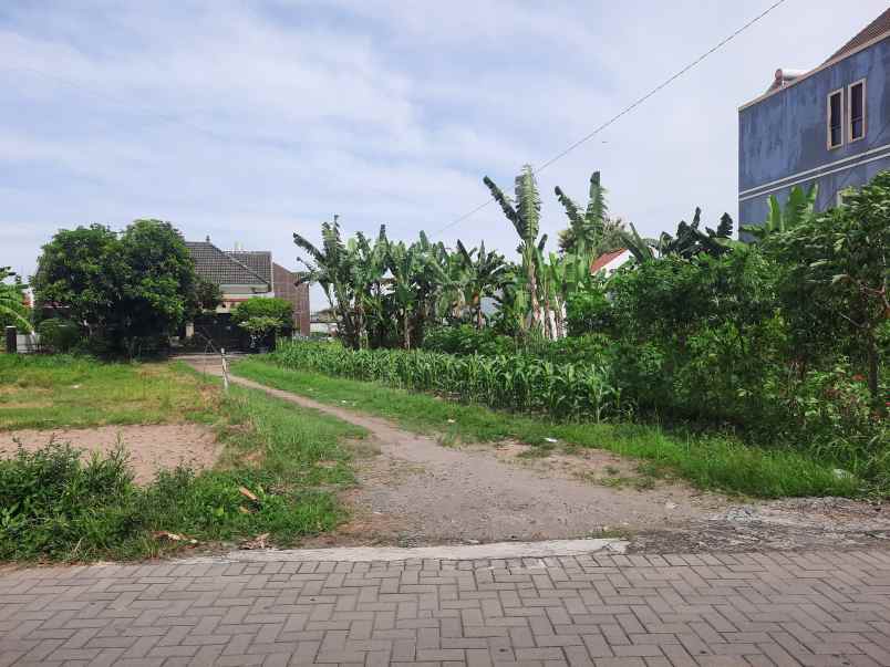 tanah concat belakang poda diy dekat upn ugm amikom