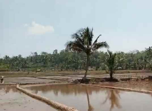 tanah daerah ciater subang jawa barat