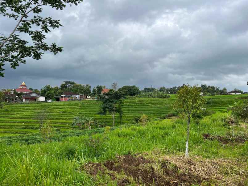 tanah datar strategis 3400m kerjo karanganyar