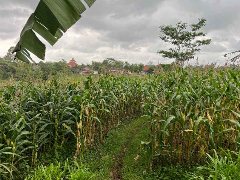 tanah datar strategis 3400m kerjo karanganyar