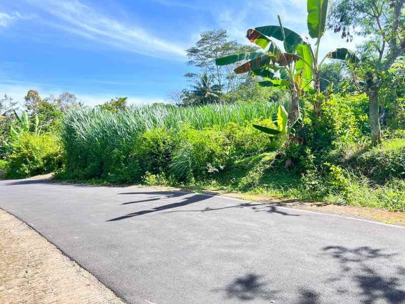 tanah datar view gunung lawu karangpandan karanganyar