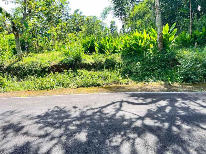 tanah datar view gunung lawu karangpandan karanganyar