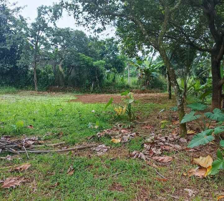 tanah di jalan raya jampang kalisuren bogor