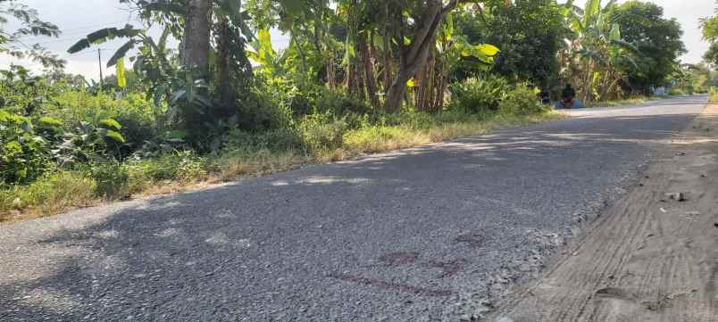 tanah hook mangku aspal area pemukiman penduduk