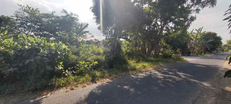 tanah hook mangku aspal area pemukiman penduduk