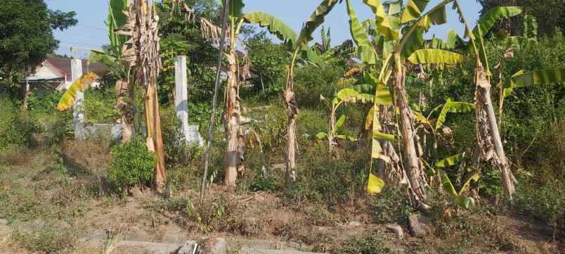 tanah hook mangku aspal area pemukiman penduduk