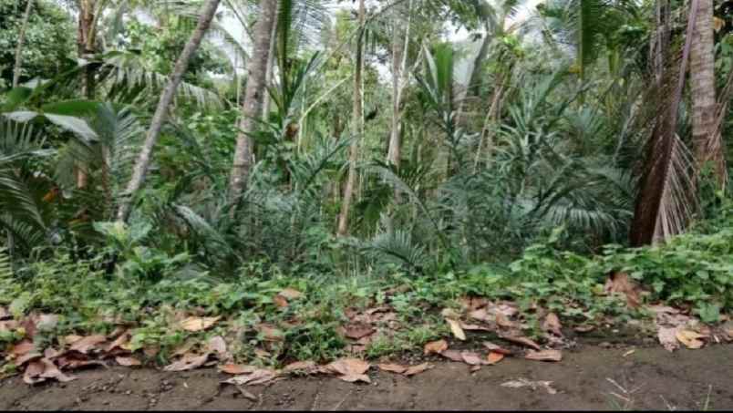 tanah kebun view sungai di wanagiri tabanan bali