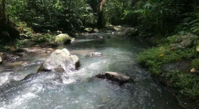 tanah kebun view sungai di wanagiri tabanan bali