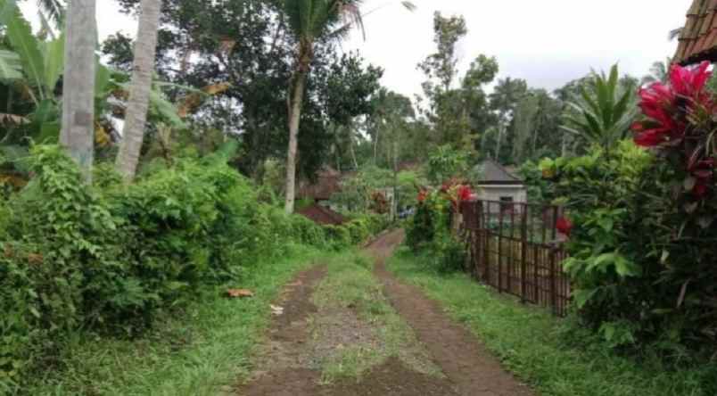 tanah kebun view sungai di wanagiri tabanan bali