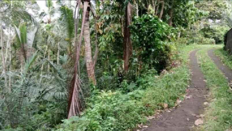 tanah kebun view sungai di wanagiri tabanan bali