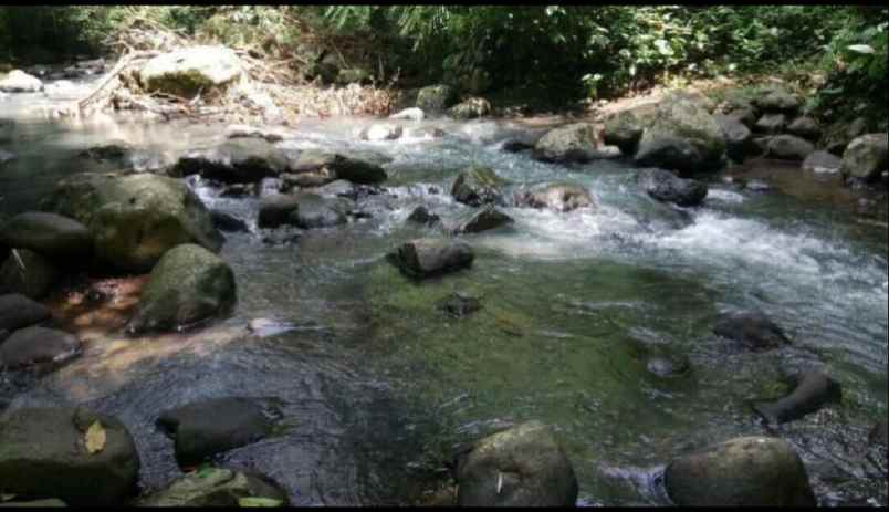 tanah kebun view sungai di wanagiri tabanan bali