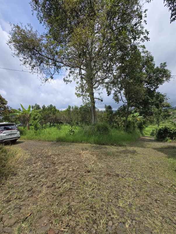 tanah murah dan strategis di binangun bumiaji batu