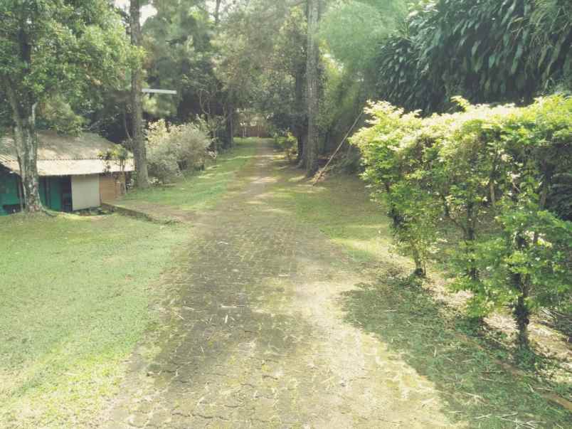 tanah pasir angin gunung geulis