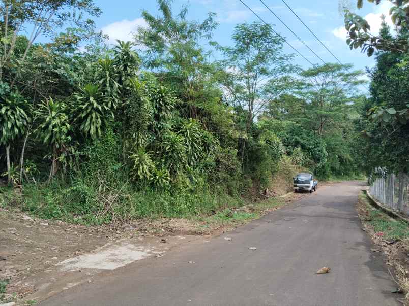 tanah perkebunan lengkeng cijambe subang jawa barat