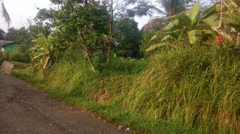 tanah sawah di sukabumi surat ajb