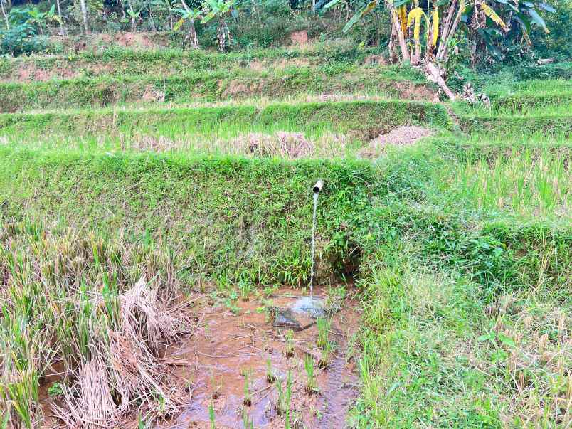 tanah subur 6000m kawasan wisata karangpandan