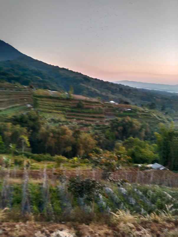 tanah view gunung dekat karmel bedugul bali