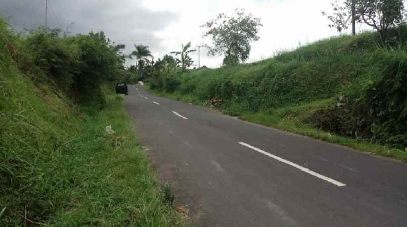 tanah view gunung dekat karmel bedugul bali